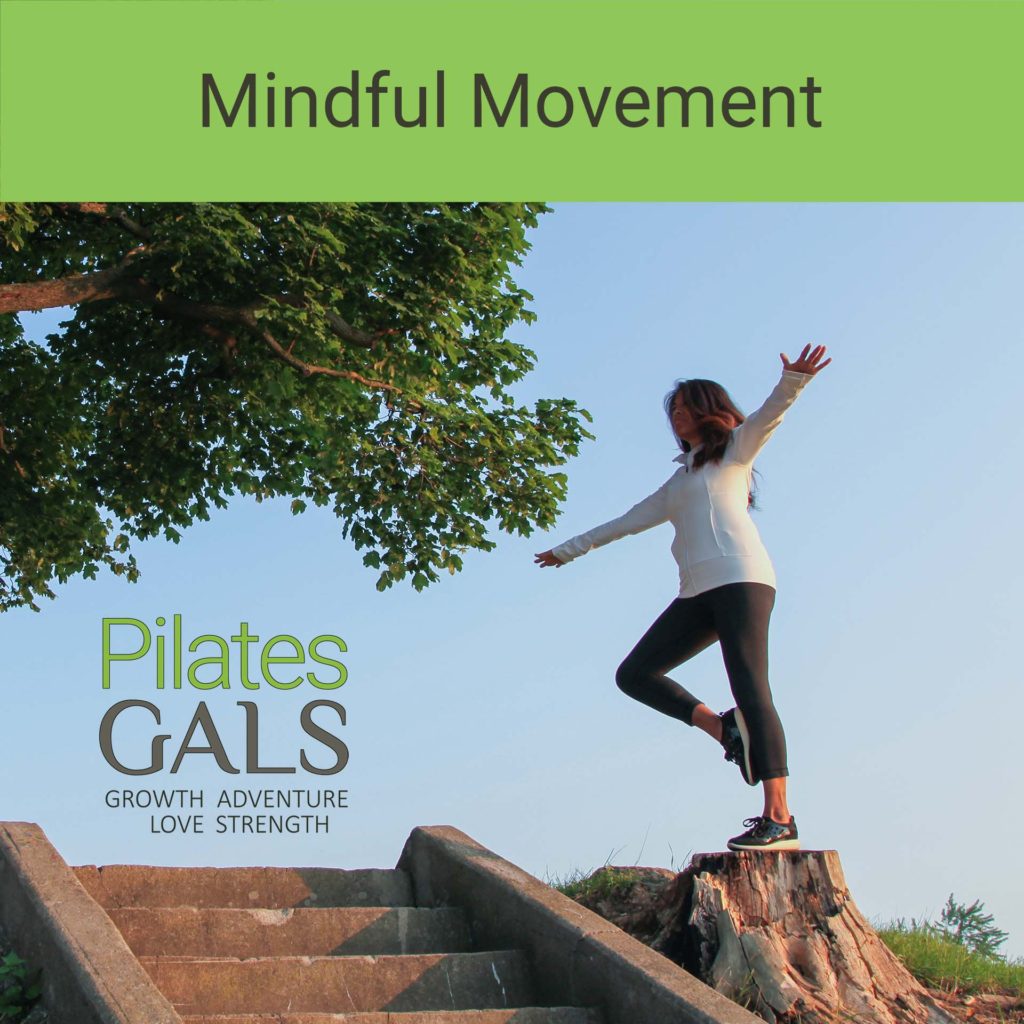 Mindful Movement Private Session – Online
Private Sessions
$49.00 – $348.00