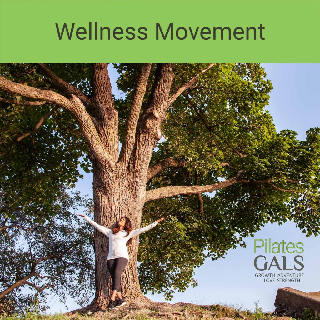Wellness Movement Private Session – Online
Private Sessions
$49.00 – $348.00